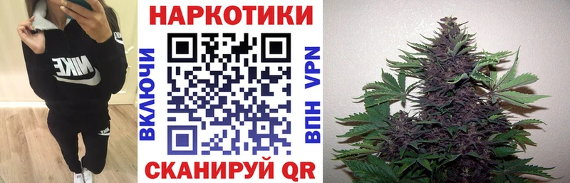 Какие есть наркотики Калининск СК МЕФ Псилоцибиновые грибы Бошки Шишки Кокаин Лсд 25 ГАШ