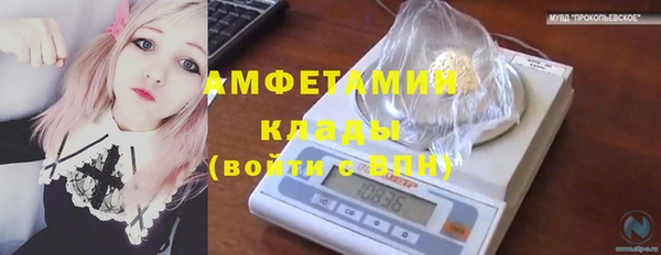 ешки Алексин