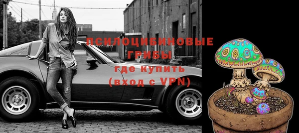 ешки Алексин