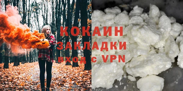 ешки Алексин