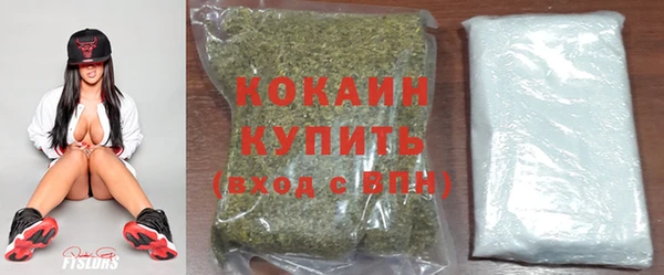 кокс Алзамай