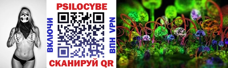 Псилоцибиновые грибы ЛСД  наркошоп  blacksprut   Калининск 